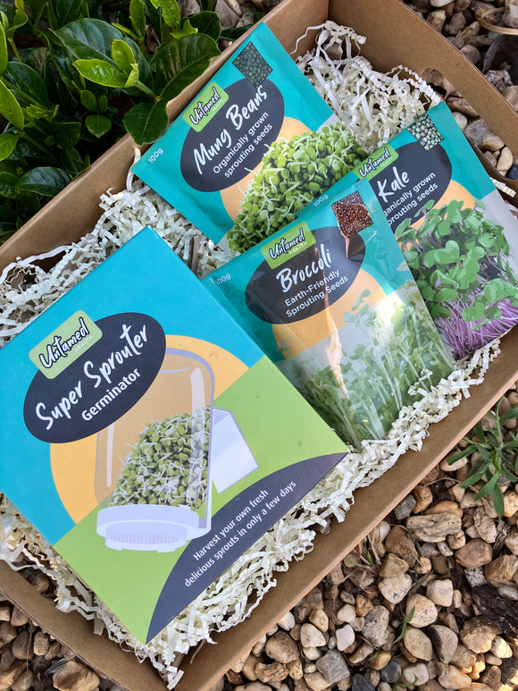 Let’s get sprouting! A pack to get you started.