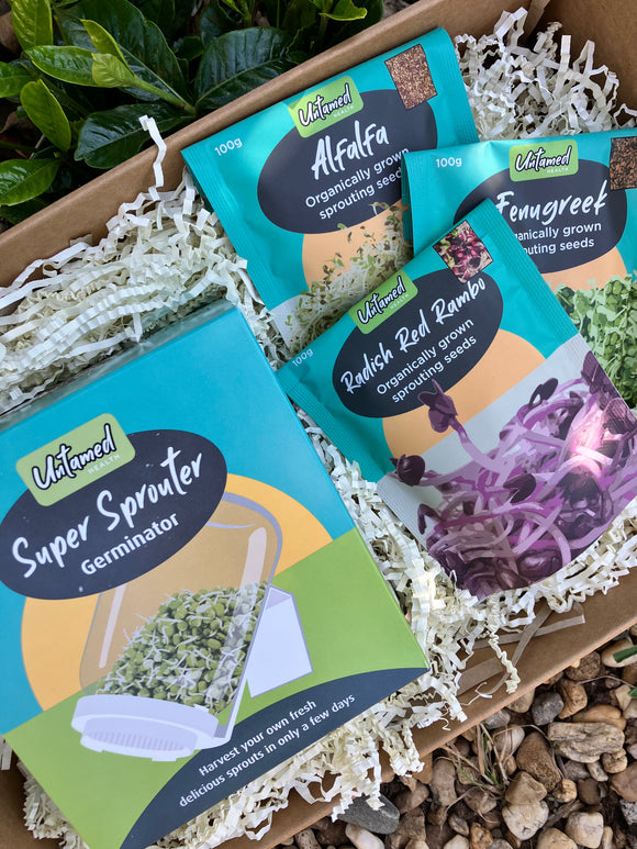 Let’s get sprouting (Pack 2)