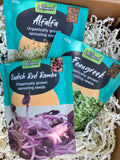 Let’s get sprouting (Pack 2)