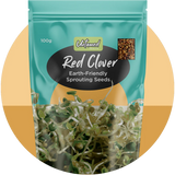 Sprouting Seeds - Red Clover (Organically Grown) 100g