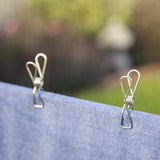 100 Stainless Steel Pegs (Regular Size)    Flat Rate Postage $6.95