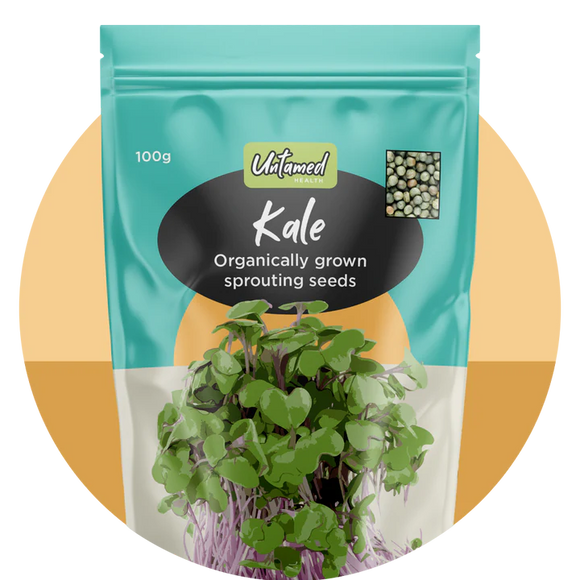 Sprouting Seeds - Kale (Organically Grown) 100g